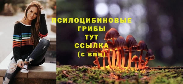 СК Лихославль