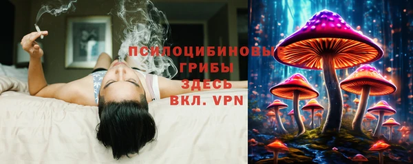 СК Лихославль